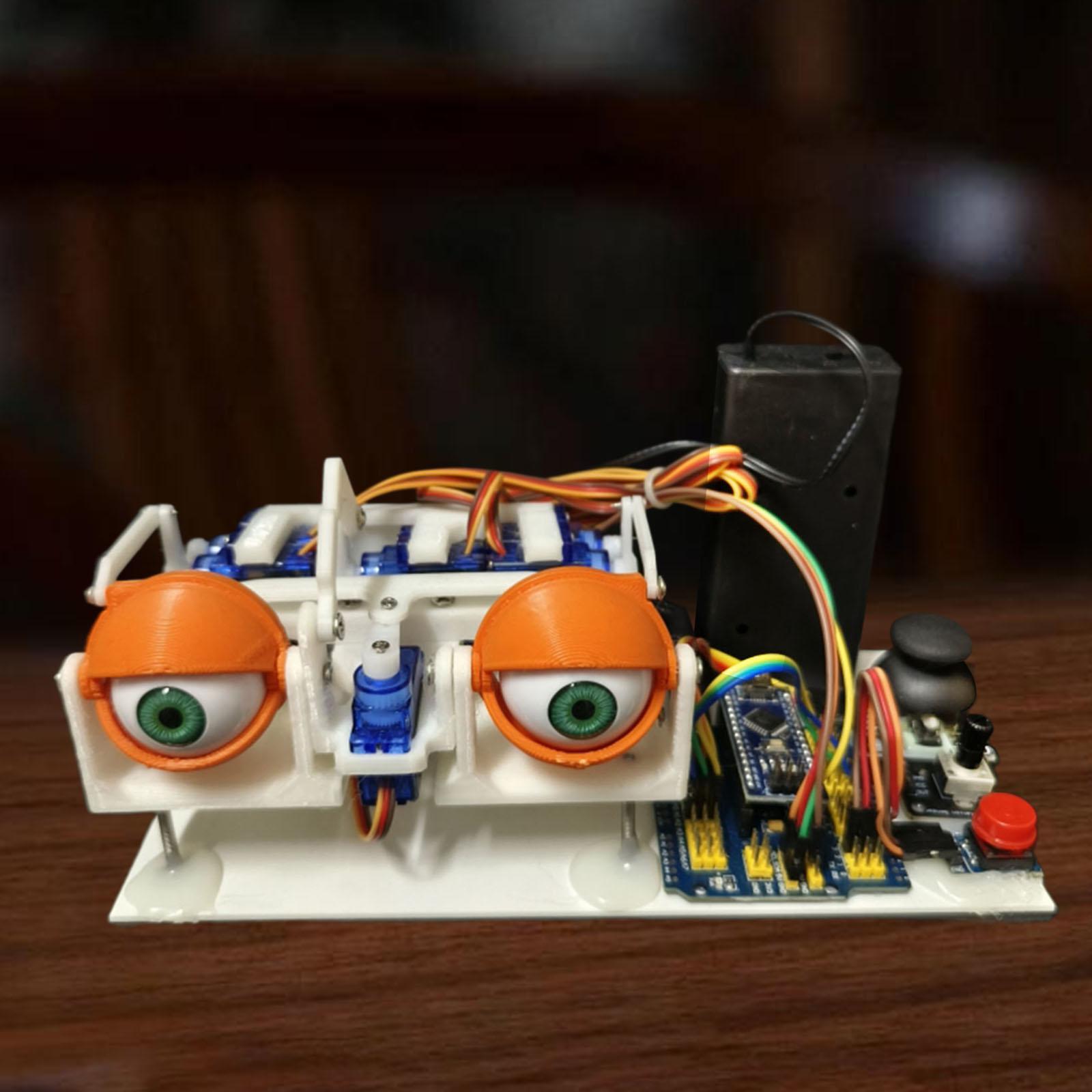 Animatronic Eyes for Stem Educ - Stem Robotics Kit 评论和价格