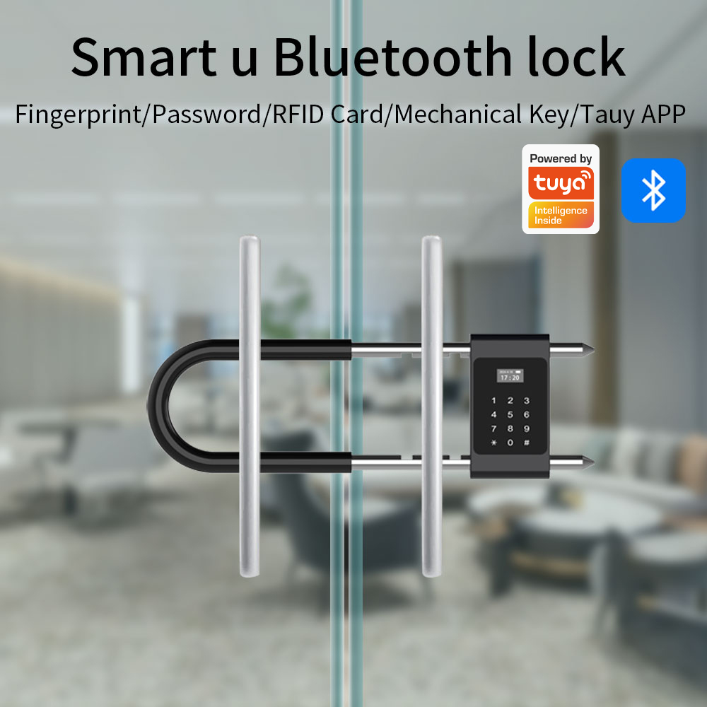 Electronic Biometric Fingerpri - Smart Door Lock Wifi 评论和价格